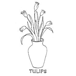 Tulipán #30455