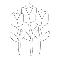 Tulipán #30458