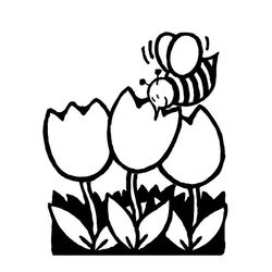 Tulipán #30466