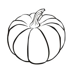 Calabaza #30819