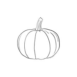 Calabaza #30822