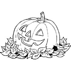 Calabaza #30829