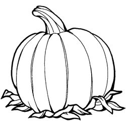 Calabaza #30834