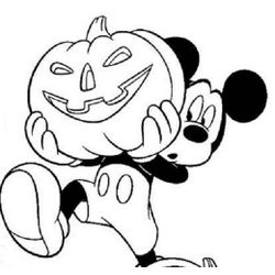 Calabaza #30839