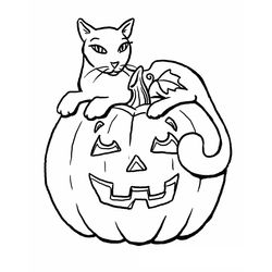 Calabaza #30848