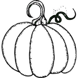 Calabaza #30861