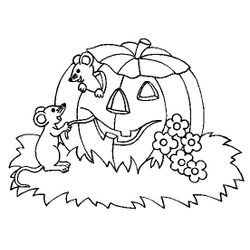 Calabaza #30863