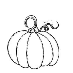 Calabaza #30865