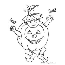 Calabaza #30866