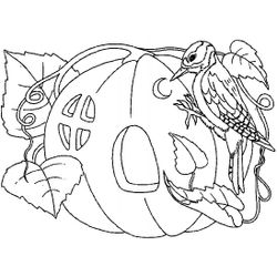 Calabaza #30870