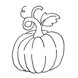 Calabaza #30871