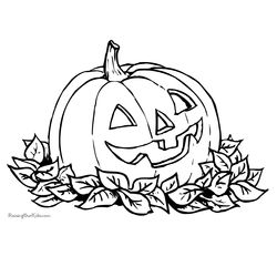 Calabaza #30876