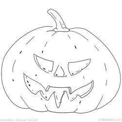 Calabaza #30878