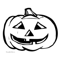 Calabaza #30884