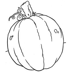 Calabaza #30886