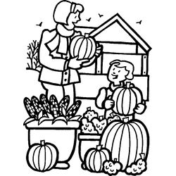 Calabaza #30904