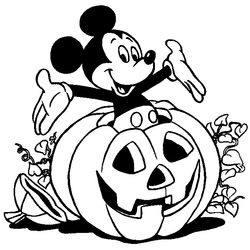 Calabaza #30906