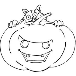 Calabaza #30911