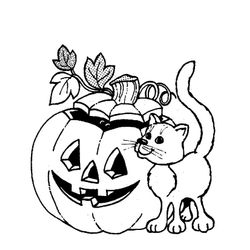 Calabaza #30914