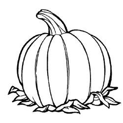 Calabaza #30924