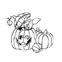 Calabaza #30925