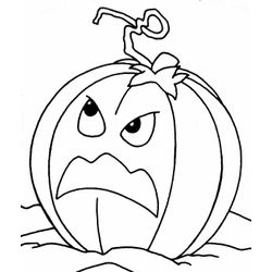 Calabaza #30927