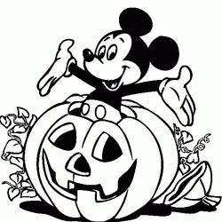 Calabaza #30952