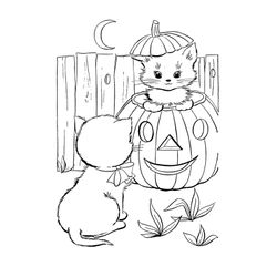Calabaza #30954