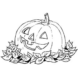 Calabaza #30958