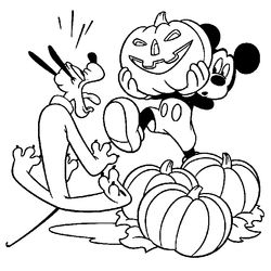 Calabaza #30964