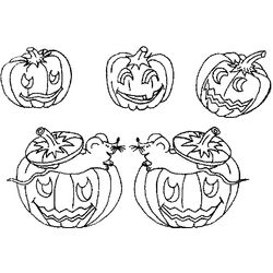 Calabaza #30967