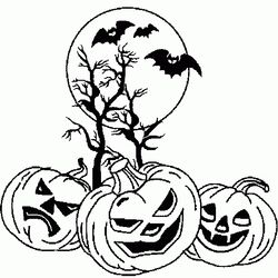 Calabaza #30969