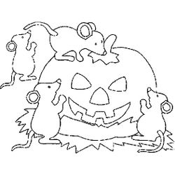 Calabaza #30973