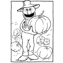 Calabaza #30977