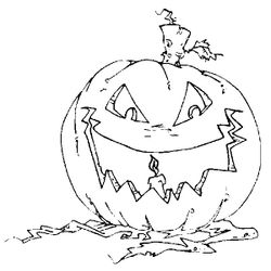 Calabaza #30995