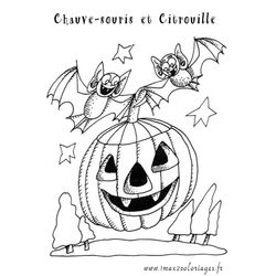 Calabaza #31002