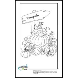 Calabaza #31003