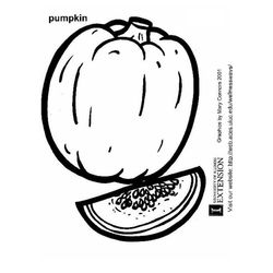 Calabaza #31008