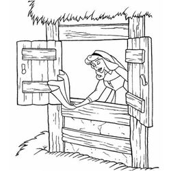 Ventana #32069
