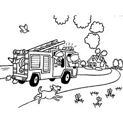 Bombero #32496