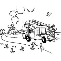 Bombero #32506