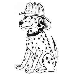 Bombero #32519