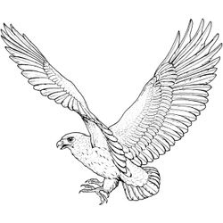 Tatuaje #33756