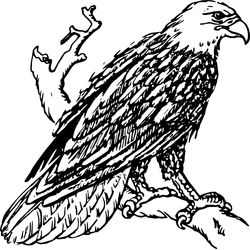 Tatuaje #33759