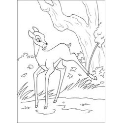 Bambi #36099