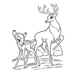 Bambi #36112