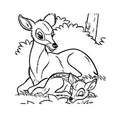 Bambi #36119