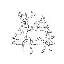 Bambi #36133