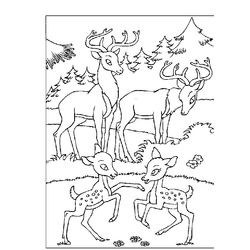 Bambi #36156