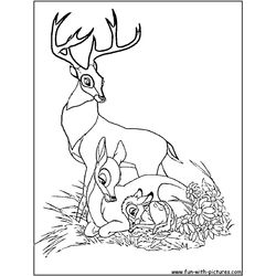 Bambi #36023